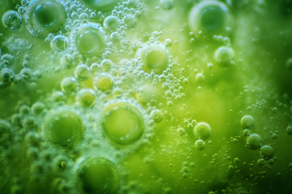 The origin of life on Earth. Abstract variation on the theme of life originated in water 3.8 billion years ago