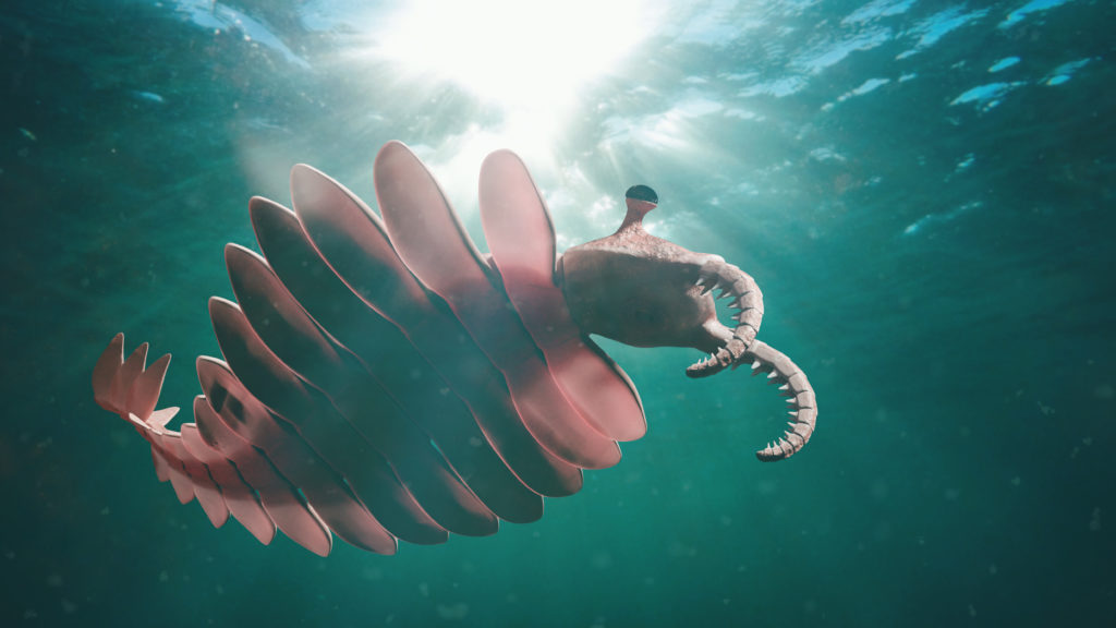 Anomalocaris, life form of the Cambrian period (3d science illustration)