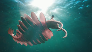 Anomalocaris, life form of the Cambrian period (3d science illustration)