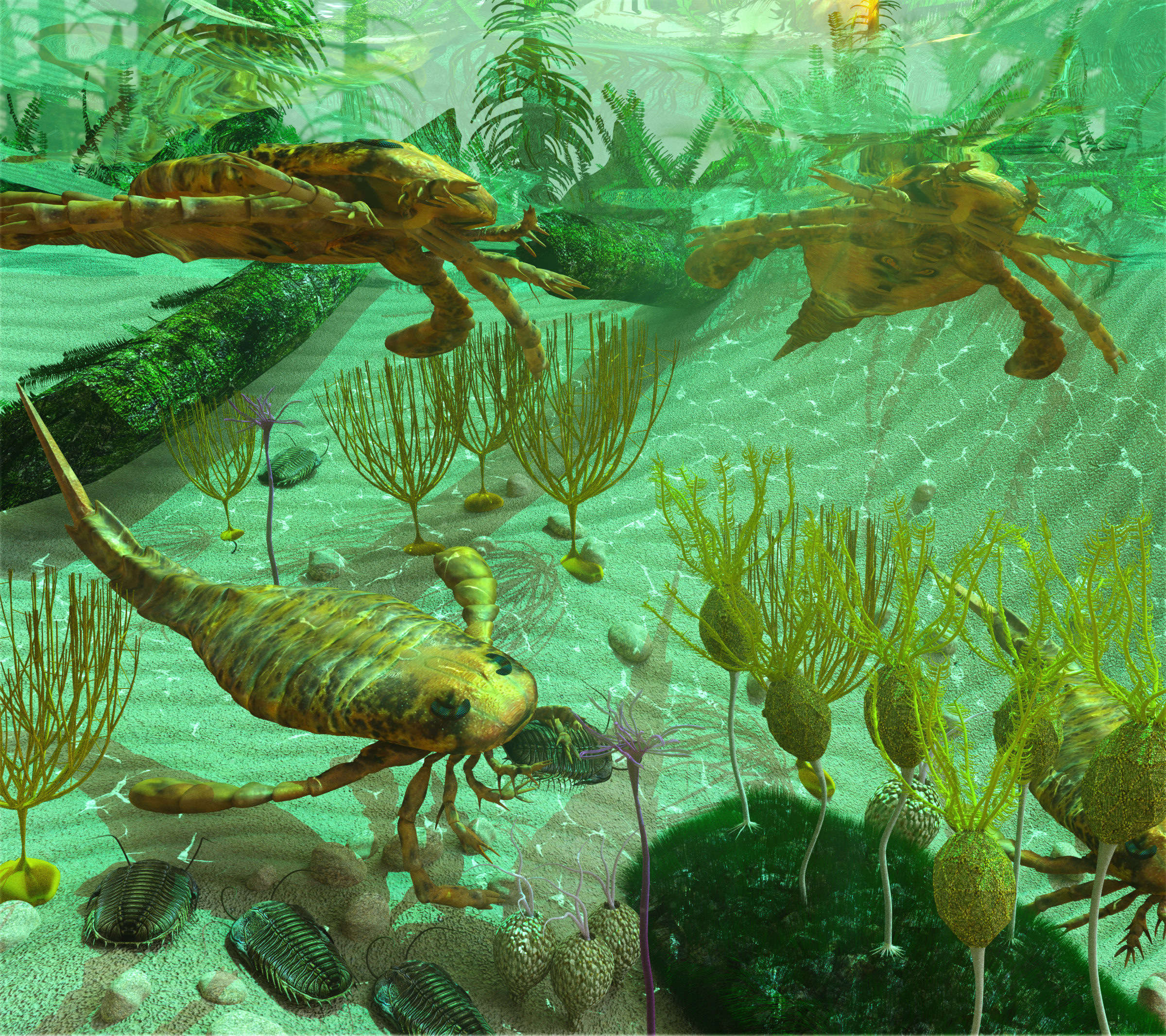 An illustration depicting life in a Devonian Period sea (419 to 358 million years ago). Shown are: Trilobites, Eurypterids, Blastoids, Crinoids, Caryocrinites and Graptolite Dictyonema.