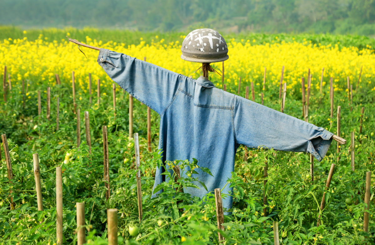 Scarecrow