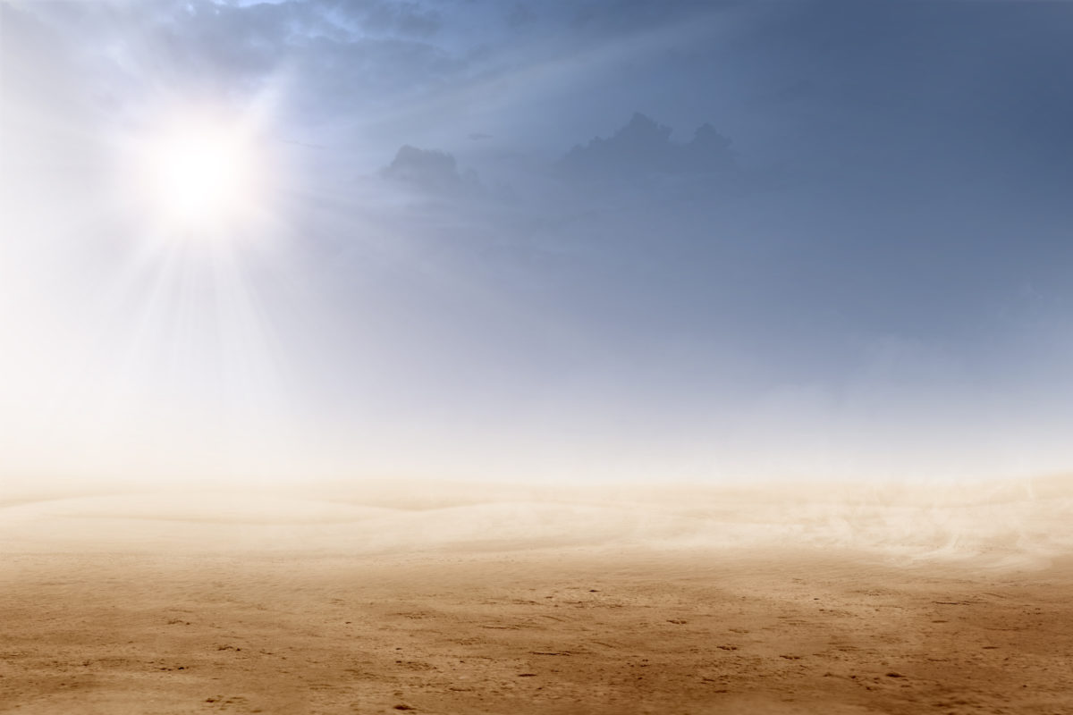Views of desert with sunlight
